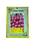 Bursa Tohum Pancina Kırmızı Pancar 25 gr