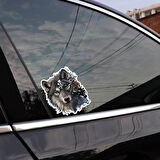 Araba Sticker mekanik kurt Sticker Yapıştırması