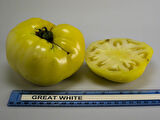 Doğal Gelenekel Great White Domates Tohumu (20 Tohum)