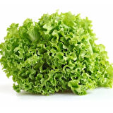 Geleneksel Curly Kışlık Yeşil Kıvırcık Marul Tohumu (100 Tohum)