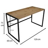 Woodesk Cpt4614-120 Çalışma Masası Ahşap 60 x 120 cm Açık Ceviz 