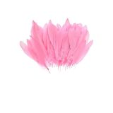 100 lü Pembe Tüy