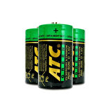 BÜYÜK PİL 24 PARÇA 