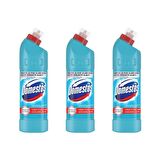 Domestos Yoğun Kıvamlı Çamaşır Suyu Okaliptüs Ferahlığı 750 ml x 3 Adet