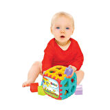 01953 BÜYÜK BULTAK KÜP