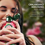 Kadifemsi Yumuşaklık Gül Kokulu Saç Bakım Kremi 250ml