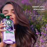 Kabarıklık Önleyici Lavanta Kokulu Şampuan 350ml