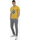 Lumberjack 4m M-CT121 Basic T.pnt 4fx Erkek Gri Eşofman Altı 101497427