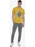 Lumberjack 4m M-CT121 Basic T.pnt 4fx Erkek Gri Eşofman Altı 101497427