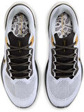 Nike Air Zoom Pegasus 41 Erkek Spor Ayakkabı HQ3220-100