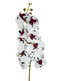 Yapay Çiçek Çilli Bordo Beyaz Islak Orkide Gerçeksi Doku Uzun Dal 90 cm