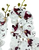 Yapay Çiçek Çilli Bordo Beyaz Islak Orkide Gerçeksi Doku Uzun Dal 90 cm