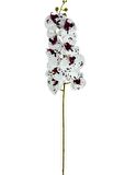 Yapay Çiçek Çilli Bordo Beyaz Islak Orkide Gerçeksi Doku Uzun Dal 90 cm