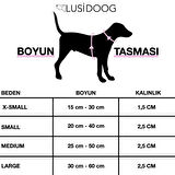 Kişiye Özel Köpek Boyun Tasması İsme Özel Köpek Tasması İsimli Köpek Tasması - Desenli