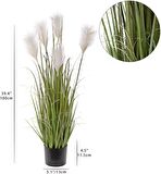 Yapay Çiçek Saksılı Salon Bitkisi Beyaz Püskül Grass Panpas