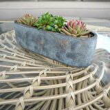 Saar Siyah Çimento Saksı Siyah 32*10*10cm