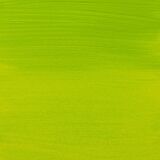 Amsterdam Akrilik Boya 500ml 617 Yellow Green