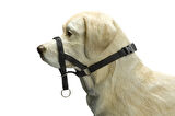 Beeztees Köpek Eğitim Tasması, Baş Kontrollu, Siyah, XS