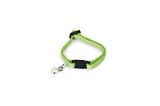BEEZTEES YAVRU KEDİ TASMASI 23 CM YEŞİL
