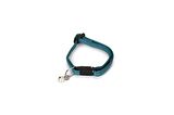 BEEZTEES YAVRU KEDİ TASMASI 23 CM YEŞİL