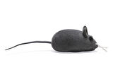 Beeztees Kedi Oyuncağı, Velur Fare, Çeşitli Renklerde, 12,5x3x2,6cm