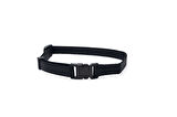 Beeztees Yavru Köpek Boyun Tasması, Çeşitli Renklerde, 22-35cm, 10mm