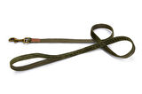 Beeztees DBL Köpek Gezdirme Kayışı, Velura, Yeşil, 120cm, 20mm