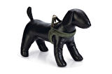 Beeztees DBL Köpek Göğüs Tasması, Velur, Yeşil, XS, 20mm x 46cm