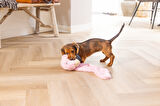 Beeztees Yavru Köpek Oyuncağı, Flamingo, Peluş, Pembe, 72x27x5cm