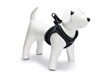 Beeztees Köpek Göğüs Tasması, Neopren, Siyah, XS, 30-35cm
