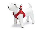 Beeztees Köpek Göğüs Tasması, Neopren, Kırmızı, S, 38-44cm