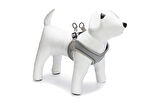 Beeztees Köpek Göğüs Tasması, Neopren, Gri, XS, 30-35cm