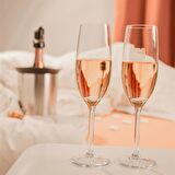 Vacu Vin 3647360 Aktif Şampanya Soğutucu Elegant Paslanmaz Çelik Kutulu