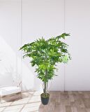 Yapay Ağaç Yeşil Çınar Ağacı100x70cm Siyah Plastik Saksılı