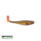 SPRO Iris The Boss 12Cm Silikon Yem Rudd