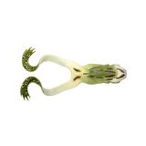 SPRO Iris The Frog 10Cm Silikon Yem UV Natural Gre