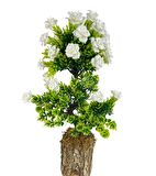 Bonsai Dekoratif Yapay Ağaç Beyaz Güllü Top Kafalı Bonzai 30CM