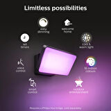 Philips Hue Discover