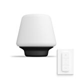 Philips Hue Wellness Masa Lambası v2 - 929003054001