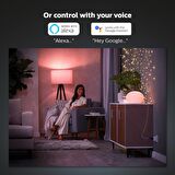 Philips Hue Akıllı Priz 929003050601