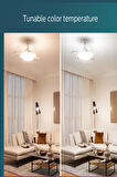 Bliss Fanlı Tavan Lambası 28+35 W