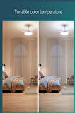 Bliss Fanlı Tavan Lambası 28+35 W
