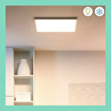 Wiz Beyaz Akıllı Sıva Üstü Sarı-Beyaz Ambiyans Kare Panel Tavan Armatürü 12W