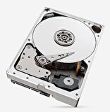 Seagate Sata 3.0 7200 RPM 3.5 inç 20 TB Nas Harddisk