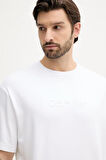 Calvin Klein Erkek A-Rel Fashion T-Shirt LV04LC206G