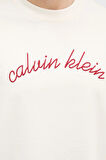 Calvin Klein Erkek T Shirt LV04RC225G YAS
