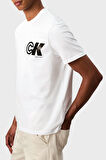 Calvin Klein Erkek T Shirt LV04RC835G YAA