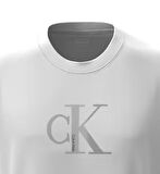 CALVIN KLEIN Erkek Marka Logolu Organik Pamuklu Günlük Kullanıma Uygun Beyaz T-Shirt LV04RC857G YAA