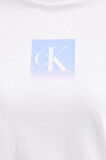 Calvin Klein Kadın T Shirt LV047C864G YAA