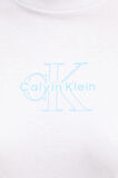 Calvin Klein Kadın T Shirt LV047C863G YAA